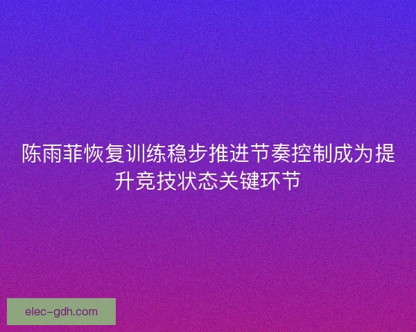 陈雨菲恢复训练稳步推进节奏控制成为提升竞技状态关键环节