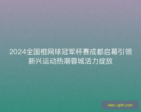 2024全国棍网球冠军杯赛成都启幕引领新兴运动热潮蓉城活力绽放